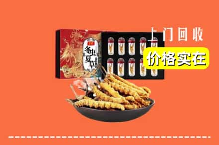 遵义市汇川回收冬虫夏草