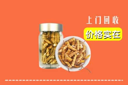 收购资讯:遵义市汇川回收散虫草
