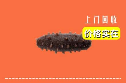 收购资讯:遵义市汇川回收海参